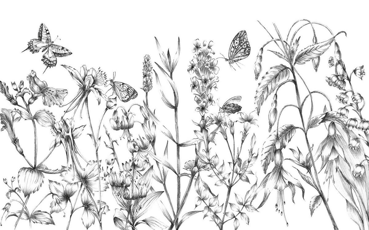 Komar Fototapete Butterfly Field Blumen B/L: ca. 400x250 cm Butterfly Field - (400,00/250,00cm) - Komar