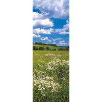Komar Fototapete Meadow B/L: ca. 100x280 cm Meadow - (100,00/280,00cm) - Komar