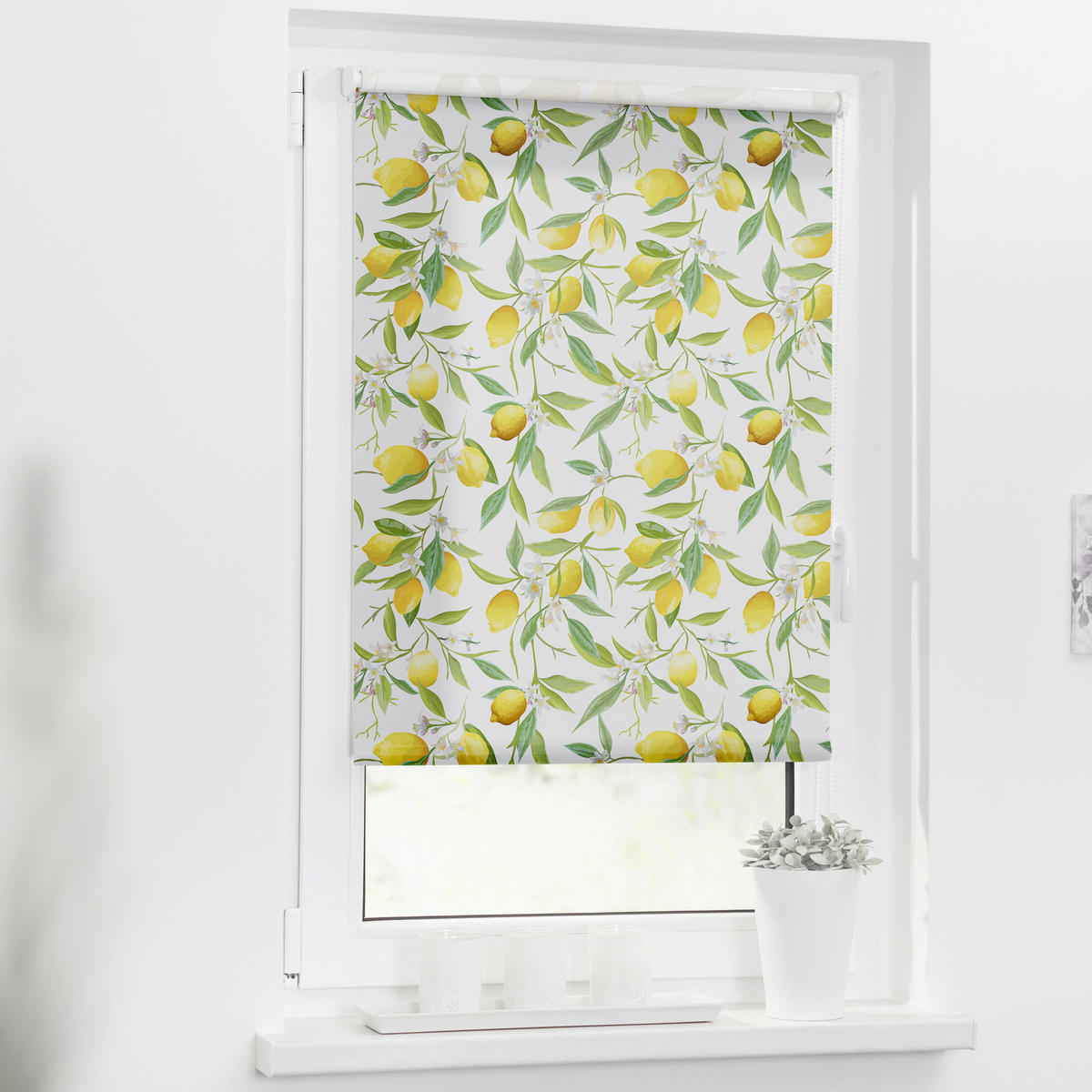 Verdunkelungsrollo Limone gelb B/L: ca. 90x150 cm Limone - gelb/grün (90,00/150,00cm) - LICHTBLICK