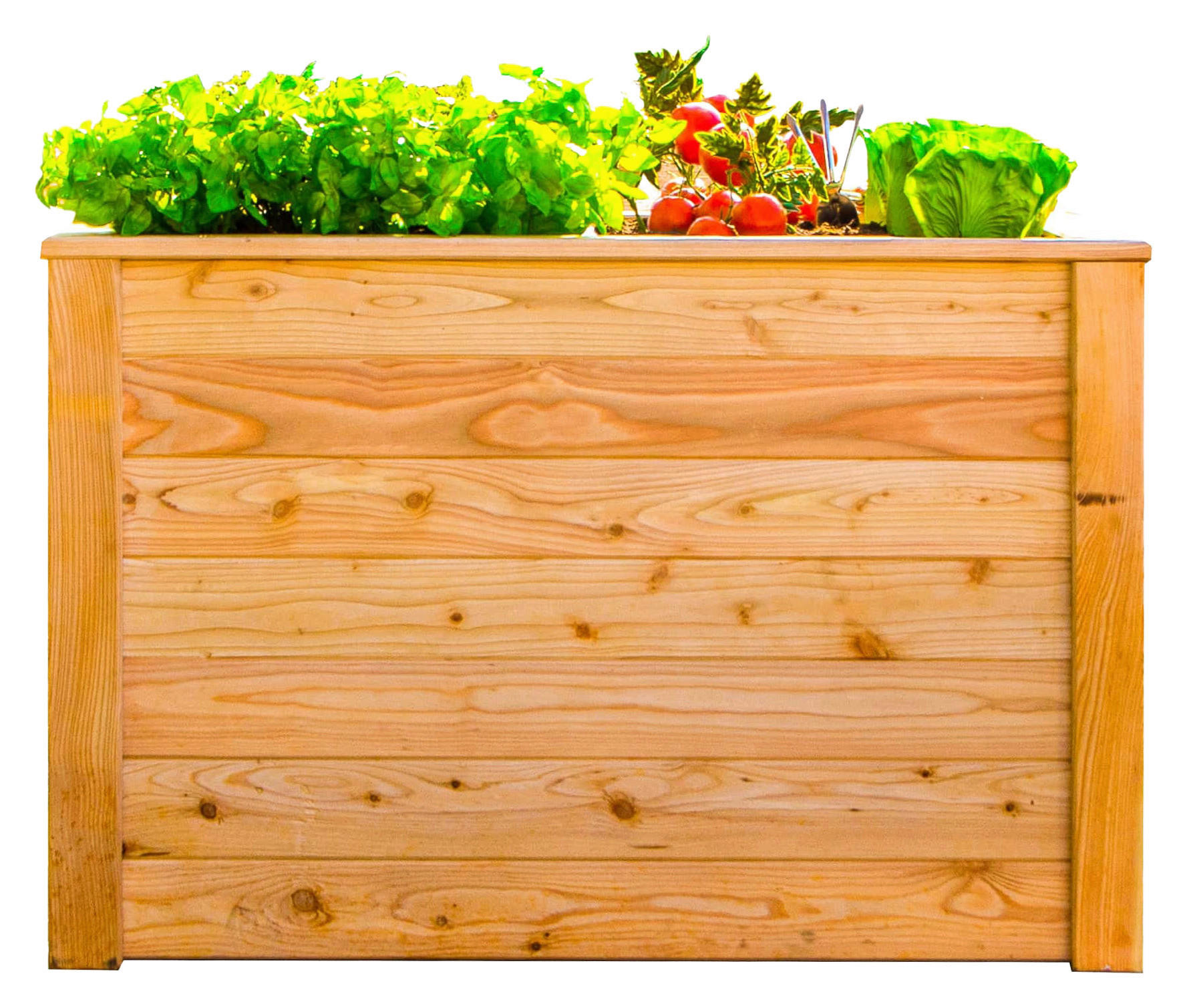 Westmann Hochbeet Lärche 100 natur Lärche B/H/L: ca. 65x66x100 cm Lärche 100 - natur (100,00/65,00/66,00cm) - Westmann