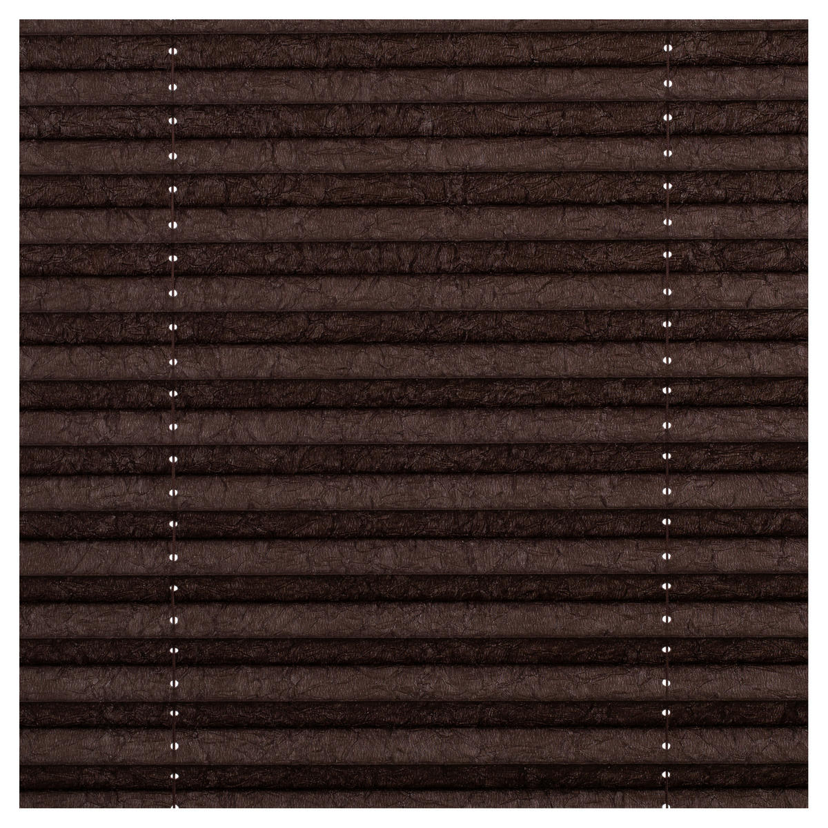 LICHTBLICK Spannplissee braun B/L: ca. 50x130 cm Plissee_Klemmfix - braun (50,00/130,00cm) - LICHTBLICK