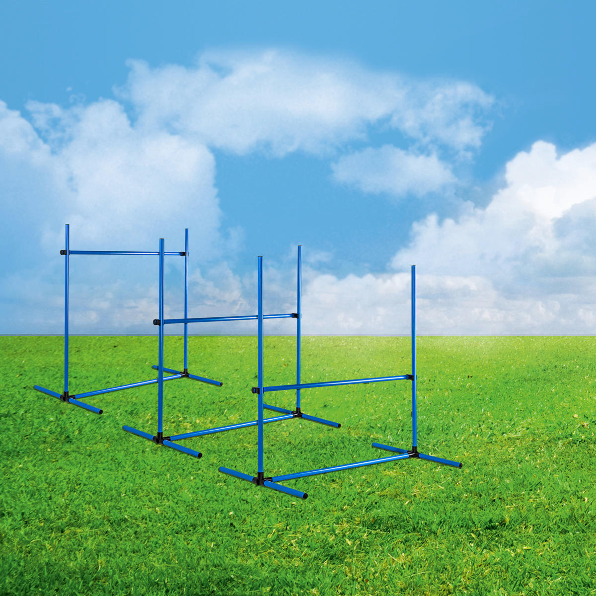 HI Agility Hürdenset blau Kunststoff B/H/L: ca. 65x95x95 cm Agility_Hürdenset_4erSet - blau (95,00/65,00/95,00cm) - HI