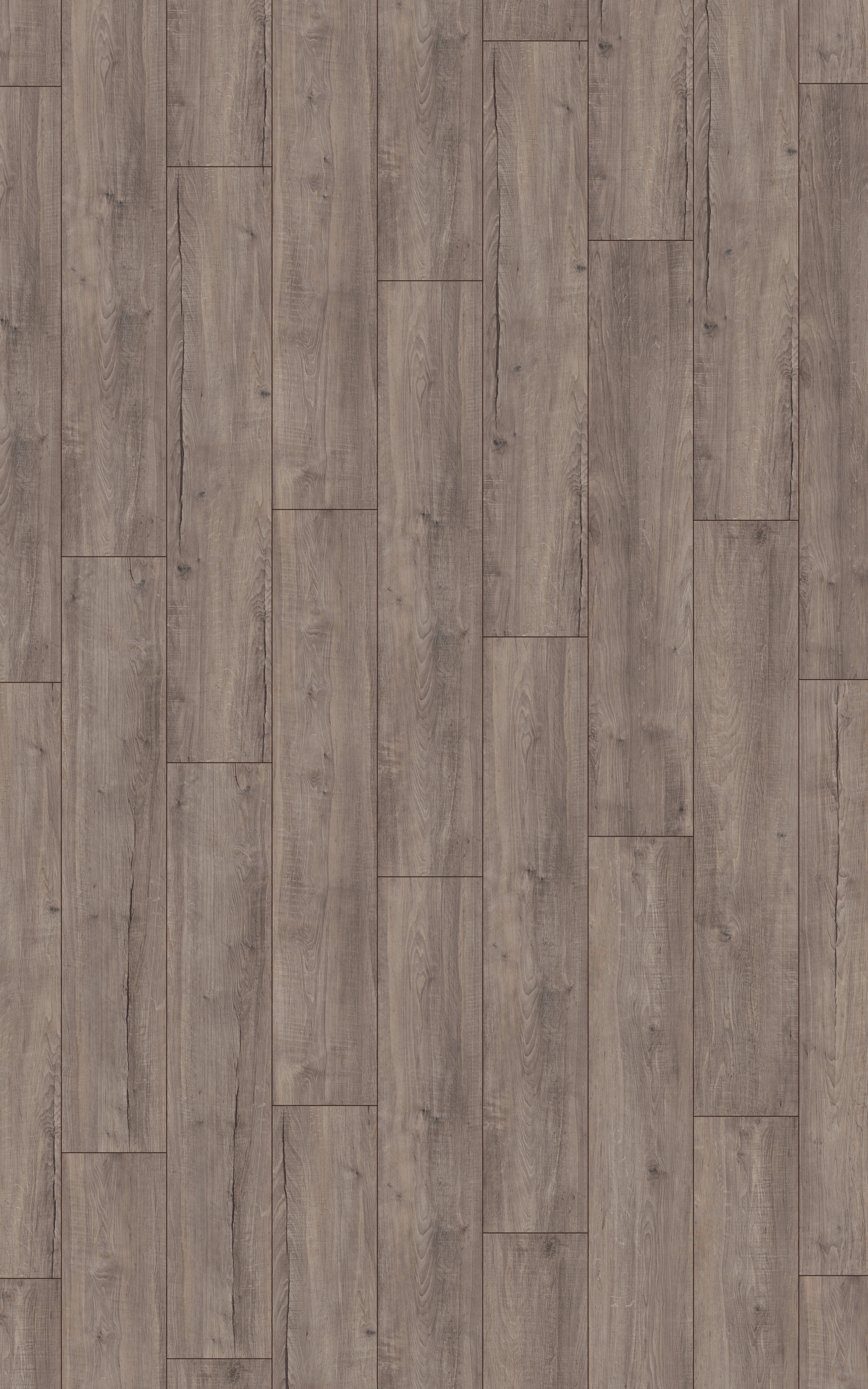 Kronotex Laminatboden Exquisit Plus ca. 2,694 m² im Paket  B/L: ca. 24,4x138 cm pro Paket Exquisit Plus ca. 2,694 m² im Paket - grau (24,40/138,00cm) - Kronotex