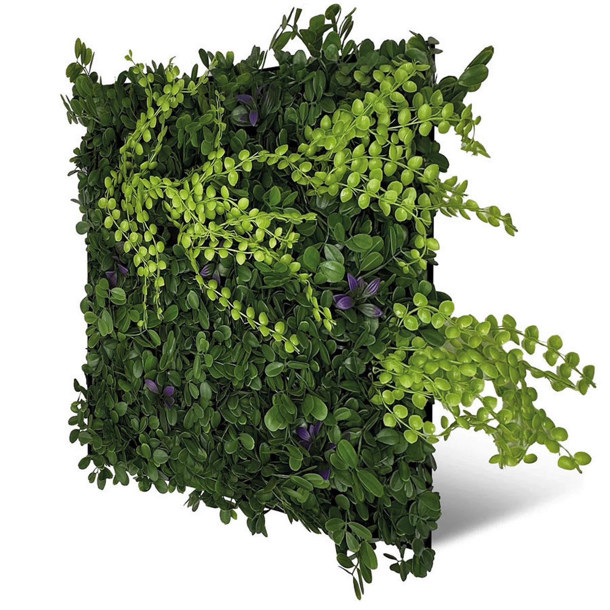Wand-und Akustikpaneel grün L/B/H: ca. 52x52x0,4 cm pro Stück Wandpaneel 52x52 Mixed Flora - grün (52,00/52,00/0,40cm)