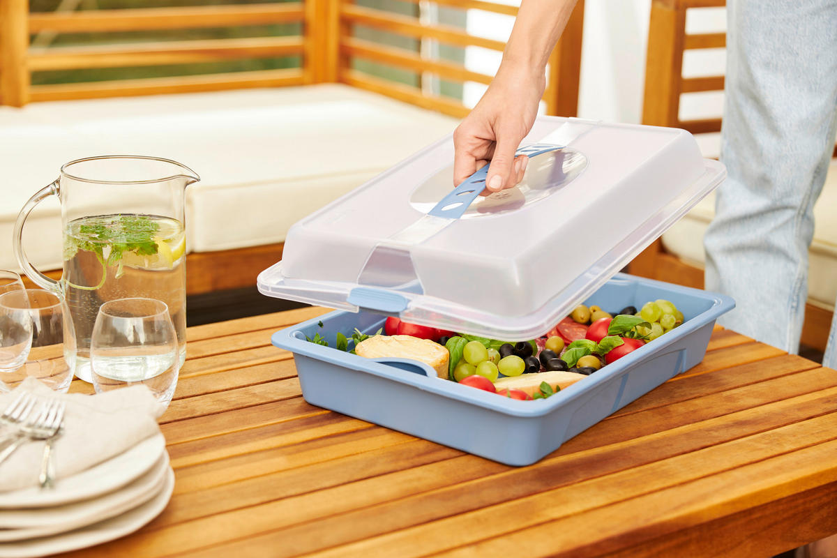 Rotho Party-Butler COOL & FRESH blau B/H/L: ca. 29,5x11x43,5 cm COOL & FRESH - blau (43,50/29,50/11,00cm) - Rotho