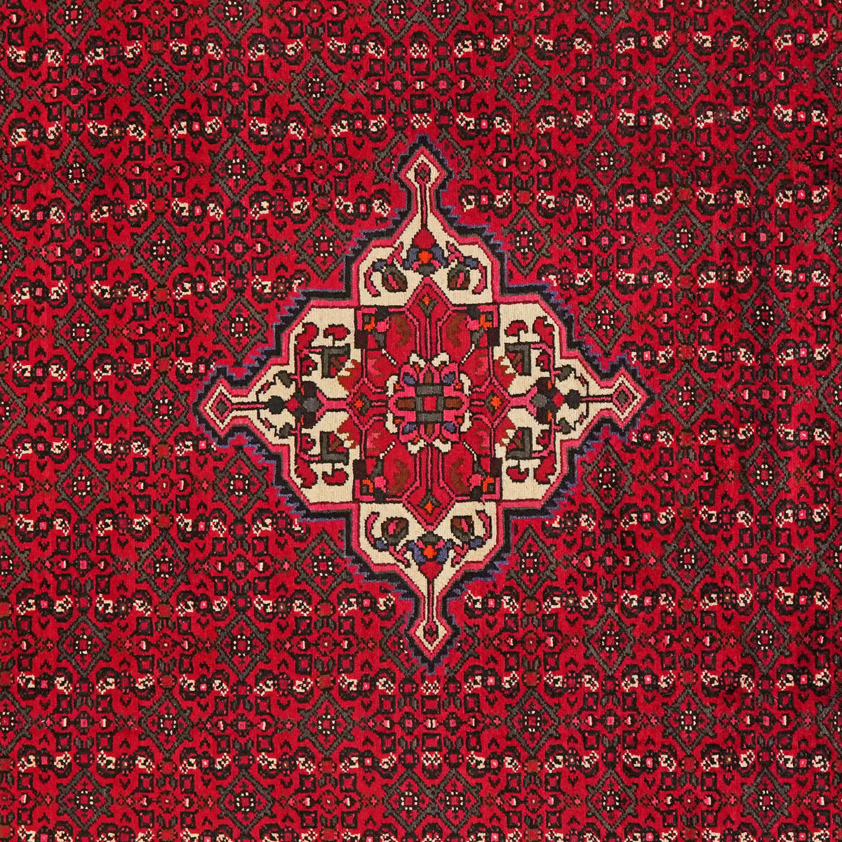 PersaTepp Teppich Hosseinabad rot B/L: ca. 212x295 cm Hosseinabad - rot (212,00/295,00cm) - PersaTepp