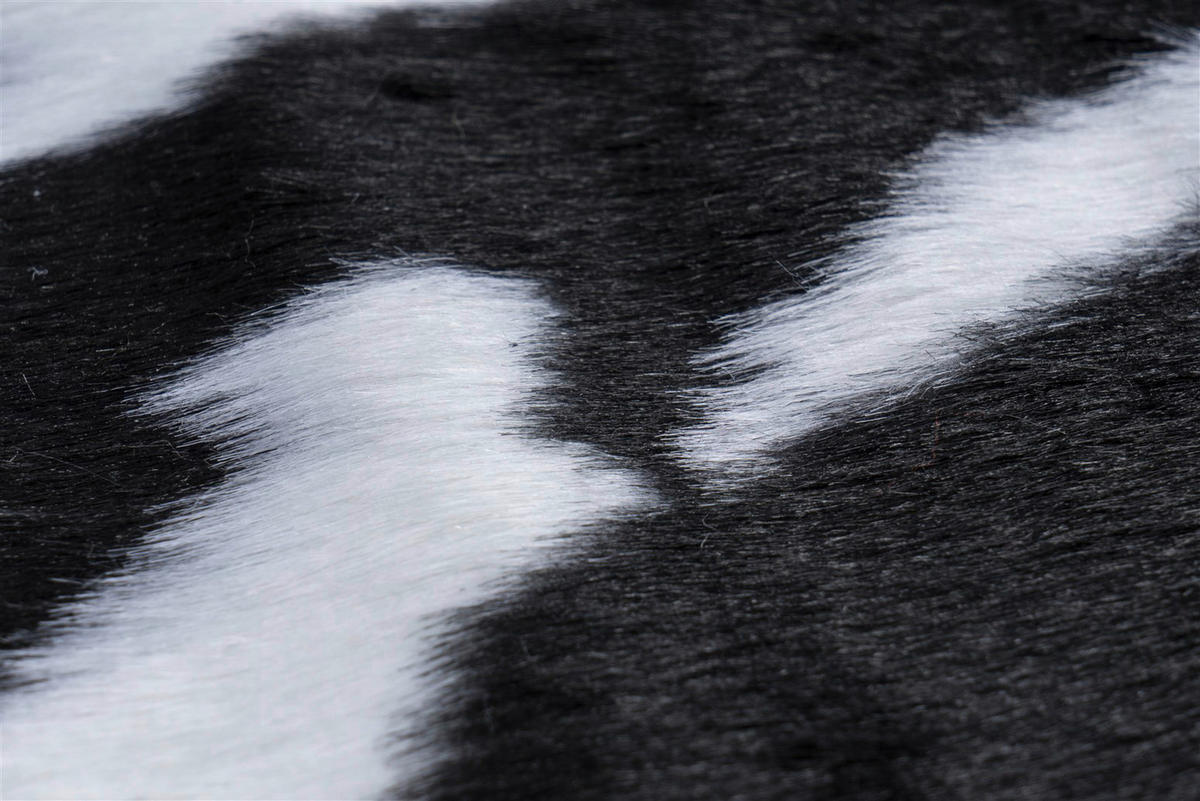 Kayoom Kurzflorteppich Philippines - Manila Cow schwarz schwarz B/L: ca. 150x200 cm Philippines - Manila Cow schwarz - schwarz (150,00/200,00cm) - Kayoom