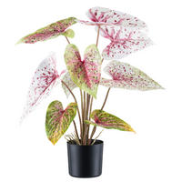 Kunstpflanze Caladium Miss Muffet rot Kunststoff B/H/L: ca. 17x55x17 cm Caladium Miss Muffet - rot/hellgrün (17,00/17,00/55,00cm)
