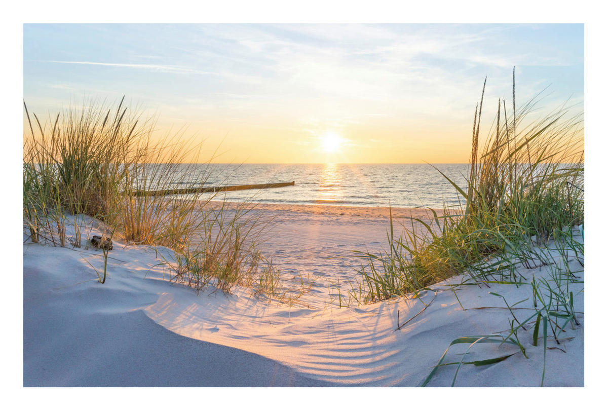 The Wall Wandbild Strand B/L: ca. 58x90 cm Bild_Deko_Panel - (58,00/90,00cm) - The Wall