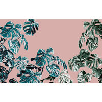 Komar Fototapete Monstera Rosé B/L: ca. 400x250 cm Monstera Rosé - (400,00/250,00cm) - Komar