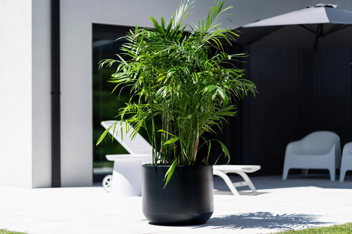 Prosperplast Blumentopf HEOS anthrazit Kunststoff B/H/L: ca. 47x42x47 cm HEOS - anthrazit (47,00/47,00/42,00cm) - Prosperplast