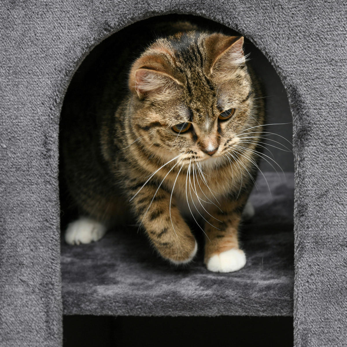 PawHut Tier-Zubehör grau Spanplatte B/H/L: ca. 45x45x81 cm Kratztonne - grau (81,00/45,00/45,00cm) - PawHut