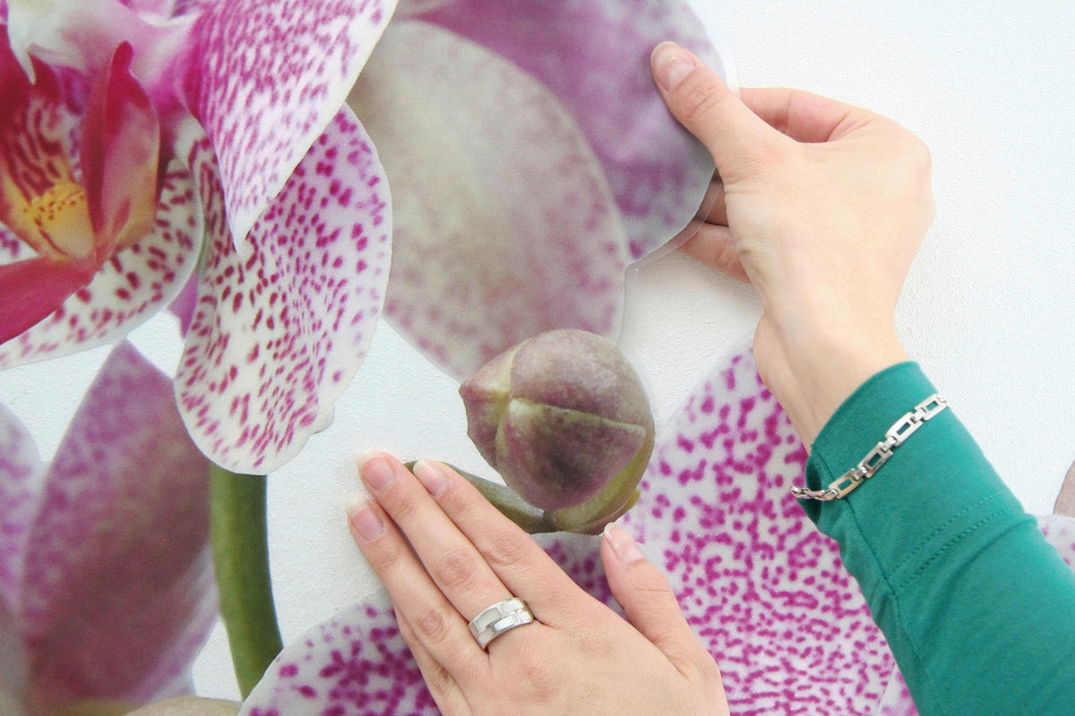 Komar Wandtattoo Orchidee Blumen Orchidee B/L: ca. 100x70 cm Orchidee - (100,00/70,00cm) - Komar