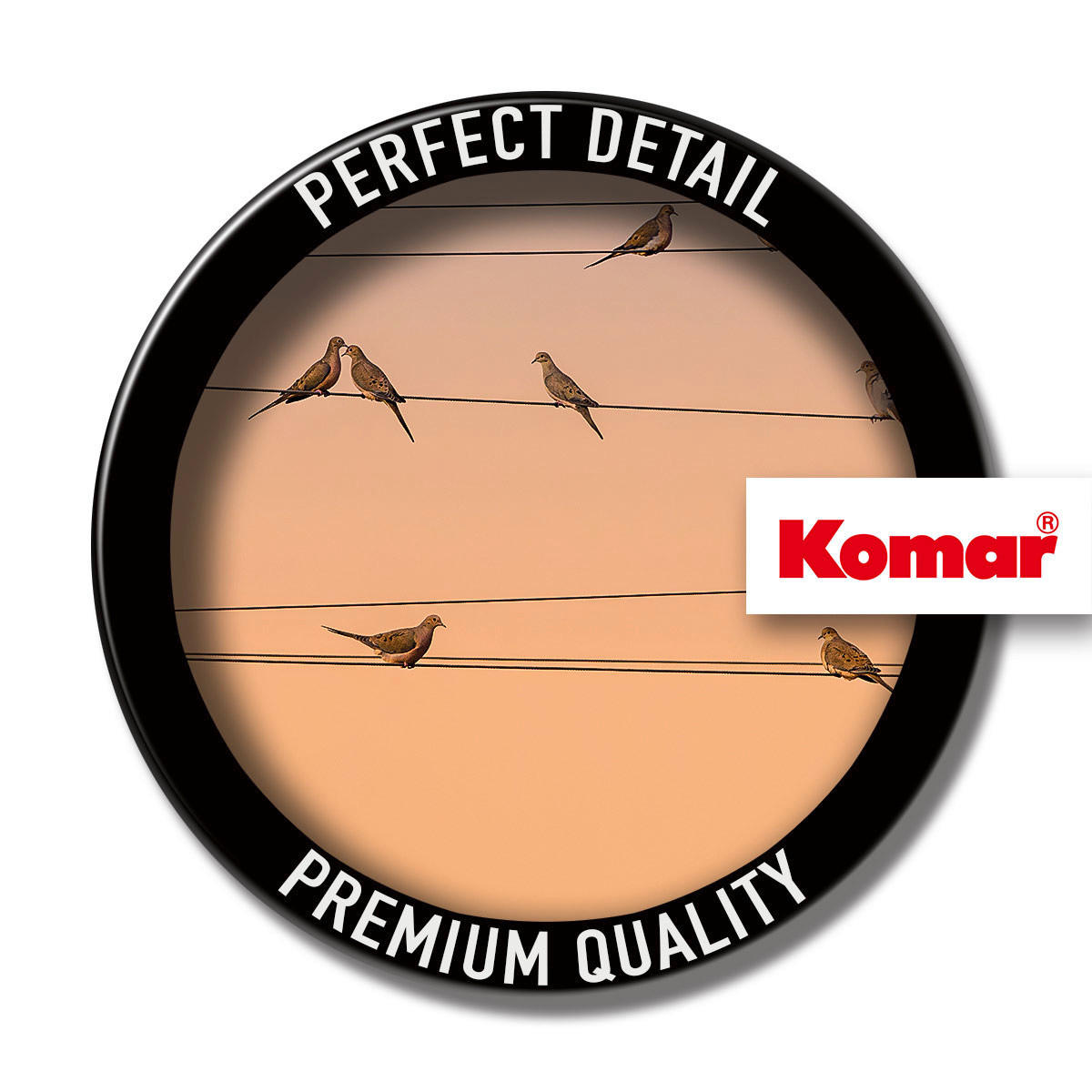 Komar Fototapete Zugvögel B/L: ca. 300x250 cm Zugvögel - (300,00/250,00cm) - Komar
