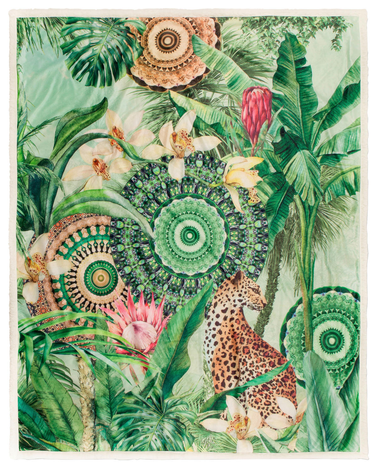 Wohndecke Abhita grün Polyester B/L: ca. 130x160 cm Abhita - grün (130,00/160,00cm) - HIP
