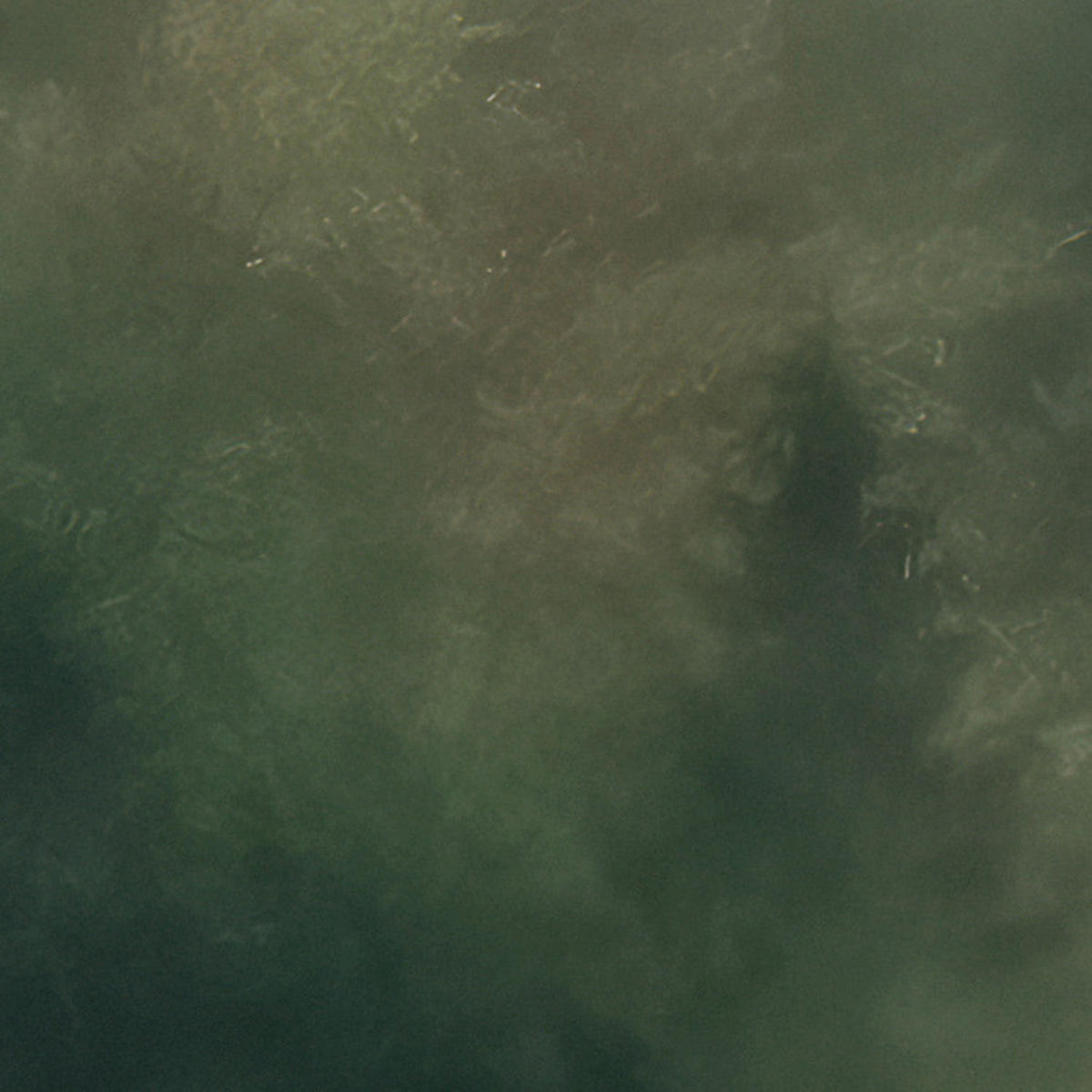 Komar Fototapete Tales of the Carpthians B/L: ca. 300x250 cm Tales of the Carpthians - (300,00/250,00cm) - Komar