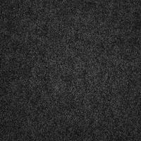 Teppichfliese Sprinter schwarz B/L: ca. 50x50 cm pro Stück Sprinter - schwarz (50,00/50,00cm)