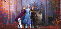 Disney Keilrahmenbild Frozen B/l: Ca. 33x70 Cm Keilrahmenbild_disney 33x70cm - (33,00/70,00cm)