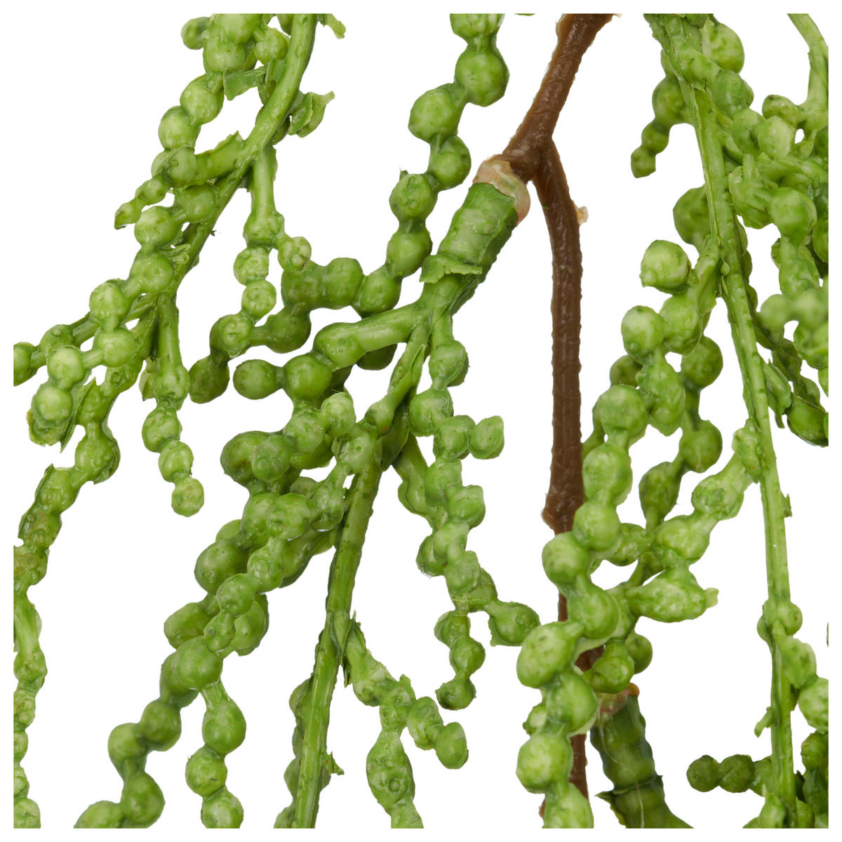 Kunstpflanze grün Kunststoff L: ca. 63 cm Sukkulente_hängend - grün (63,00cm)