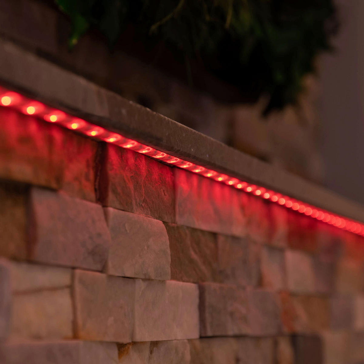 Näve Leuchten LED-Stripe 5261361 multicolor Kunststoff B/H/T: ca. 1x0,3x500 cm Digitaler Indoor LED-Stripe 5m - multicolor (1,00/0,30/500,00cm) - Näve Leuchten
