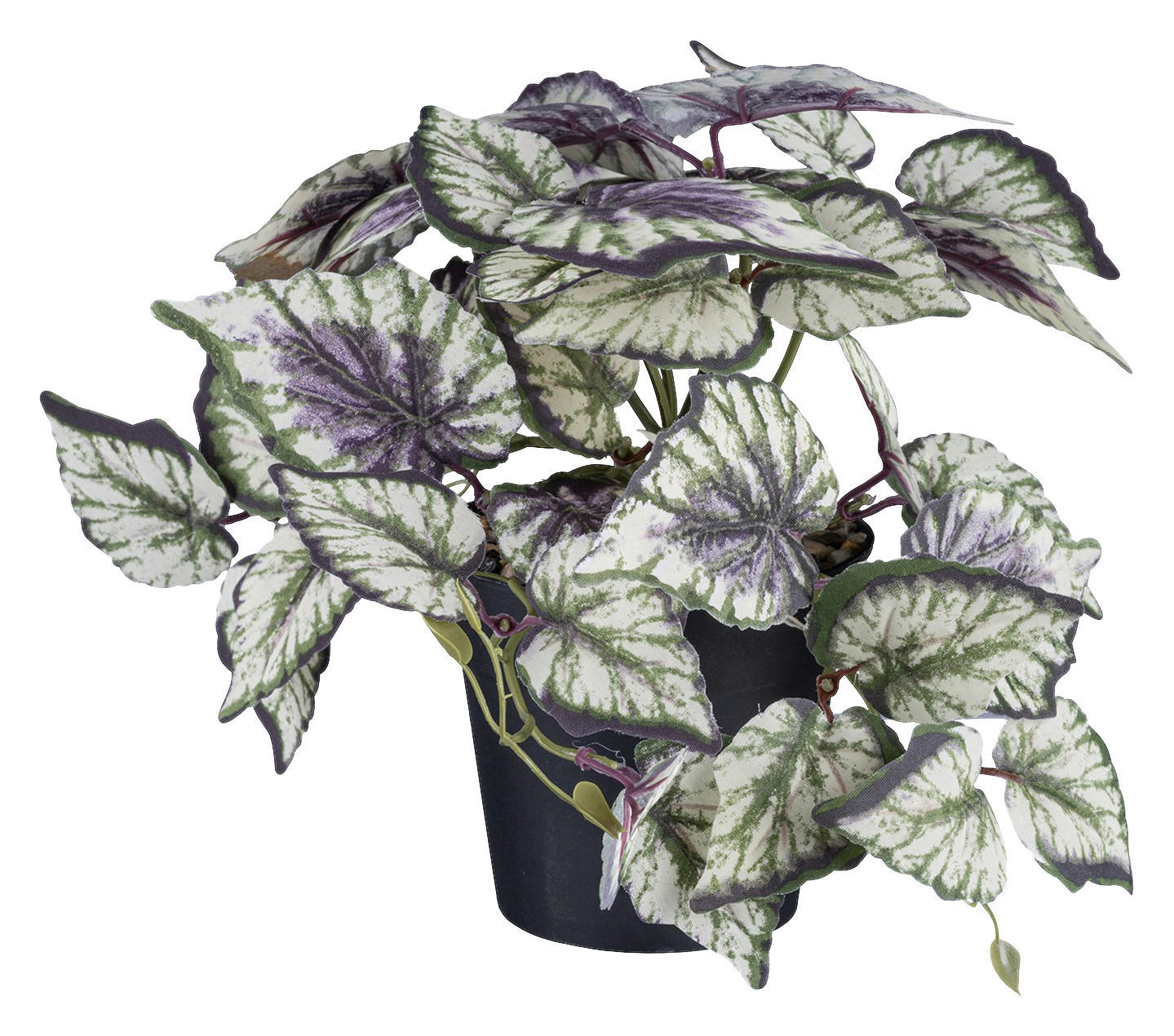 Kunstpflanze Caladium/Coleus/Fittonia