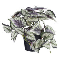 Kunstpflanze Caladium/Coleus/Fittonia