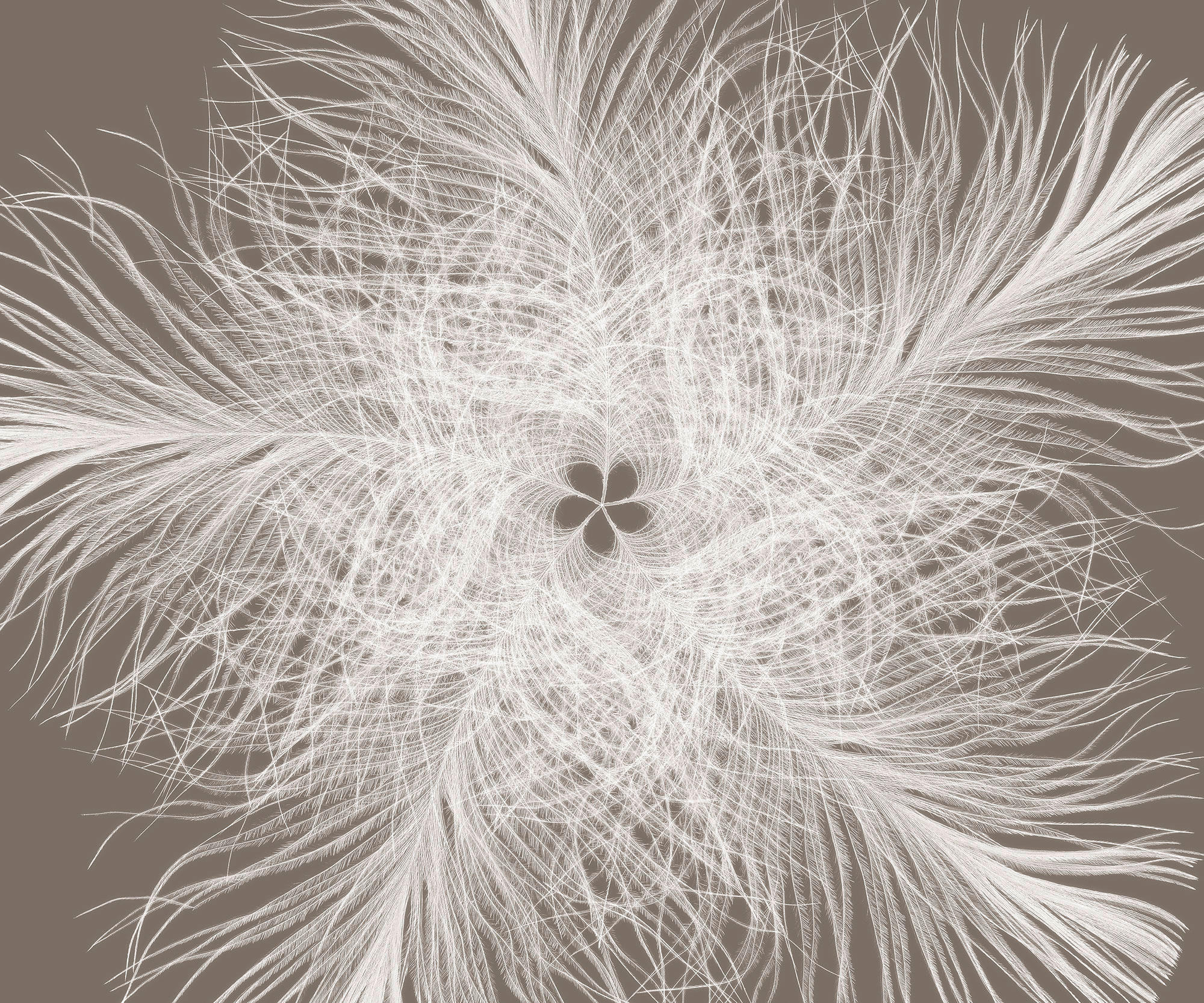 Komar Fototapete Federstern B/L: ca. 300x250 cm Federstern - (300,00/250,00cm) - Komar