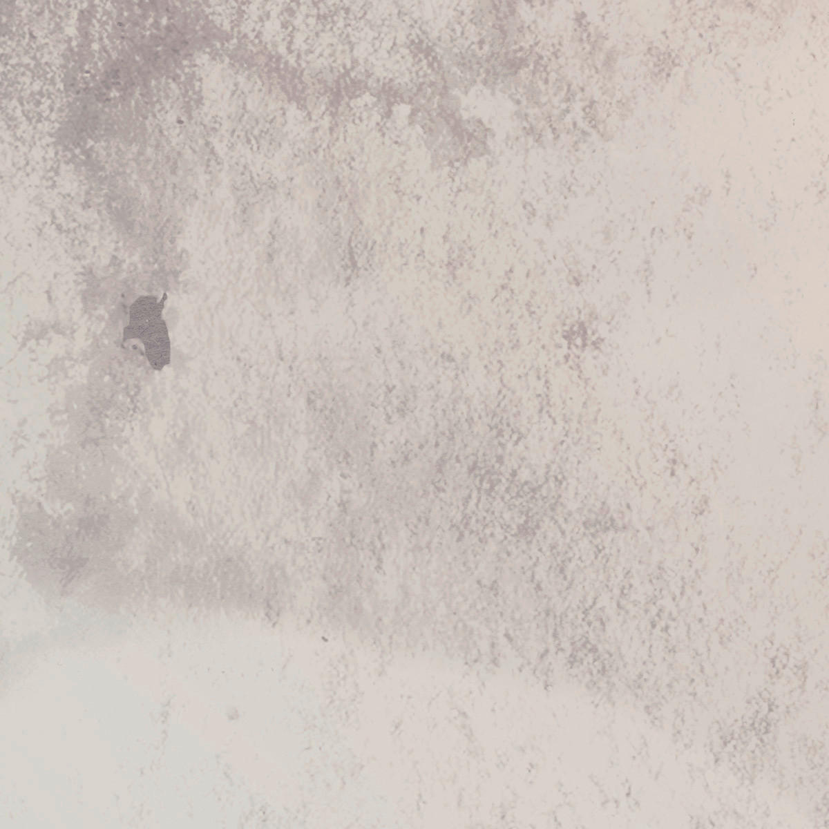 Komar Fototapete Eve B/L: ca. 300x280 cm Eve - (300,00/280,00cm) - Komar