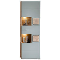 Vitrine Fun Plus 2 salbei Oak Eiche Viking Nachbildung B/H/T: ca. 65x205x37 cm Fun Plus 2 - Oak/salbei (65,00/205,00/37,00cm)