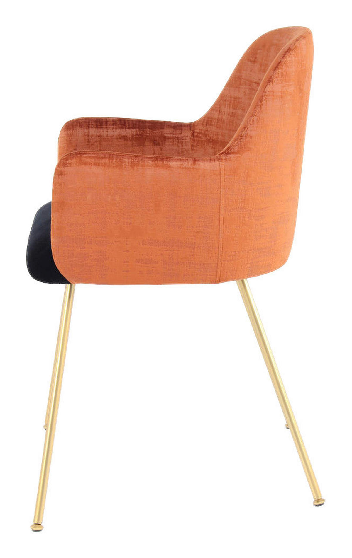 Stuhl Richard 500 terra schwarz Microfaser B/H/T: ca. 53x85x50 cm Richard 500 - gold/terra (53,00/85,00/50,00cm) - 360 Living