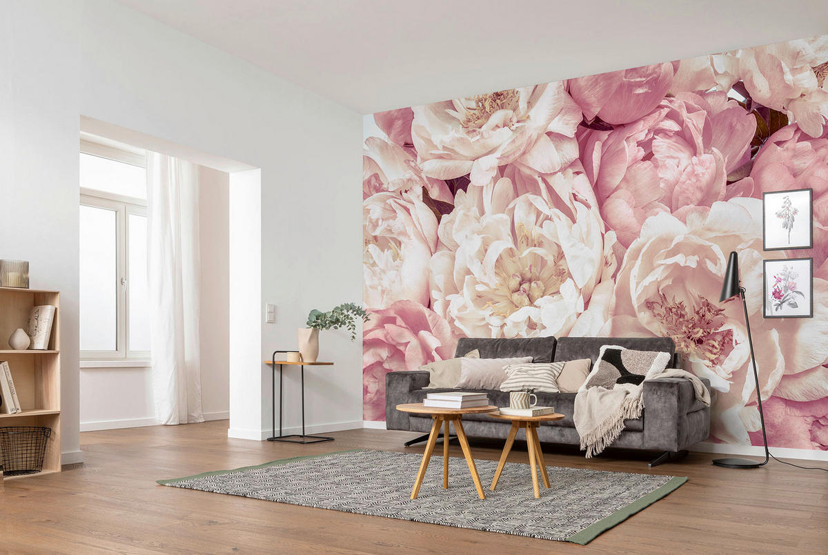 Peonies bei Komar XXL4-091 kaufen ca. ▷ online Fototapete B/H: 368x248 cm POCO