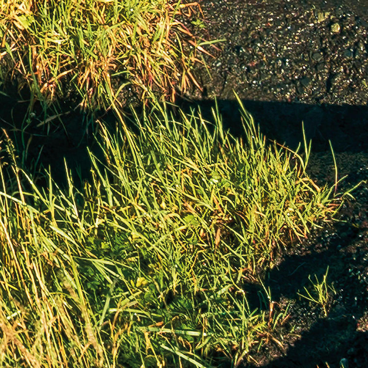 Komar Fototapete Power of Iceland B/L: ca. 450x280 cm Power of Iceland - (450,00/280,00cm) - Komar