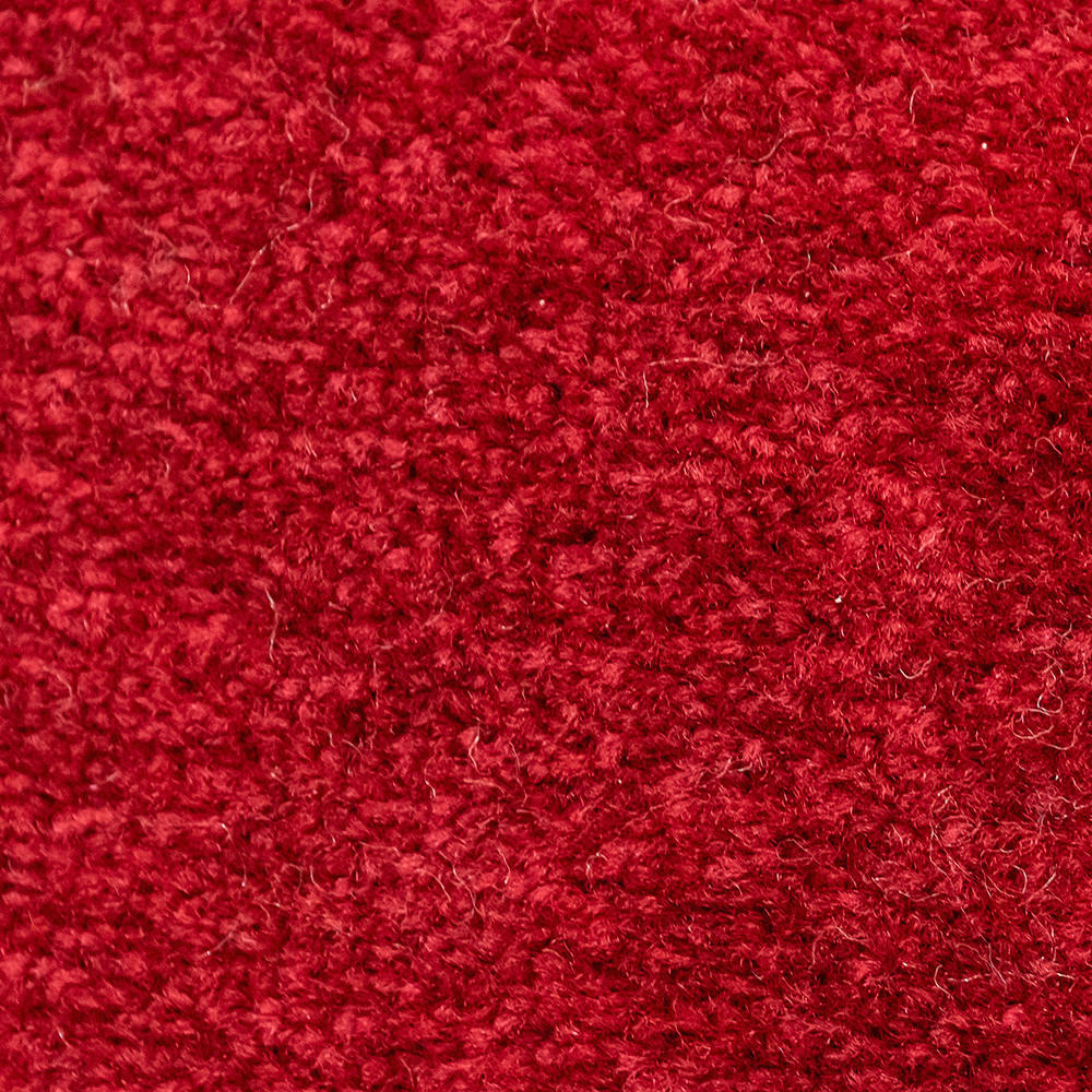 Schmutzfangmatte Alpha rot B/L: ca. 40x60 cm Alpha - rot (40,00/60,00cm)