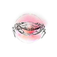 Komar Poster Crab Watercolor Tiere B/L: ca. 30x40 cm Crab Watercolor - (30,00/40,00cm) - Komar