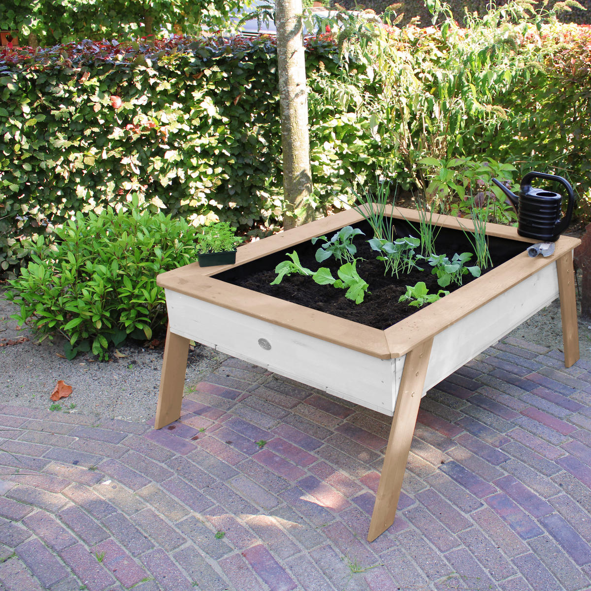 AXI Hochbeet Linda B/H/L: ca. 94x50x125 cm Linda - braun/weiß (125,00/94,00/50,00cm) - AXI