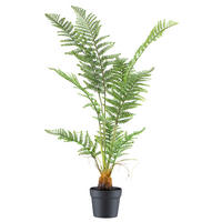 Kunstpflanze Pteris tremula Farn grün Kunststoff B/H/L: ca. 20x100x20 cm Pteris tremula Farn - grün (20,00/20,00/100,00cm)