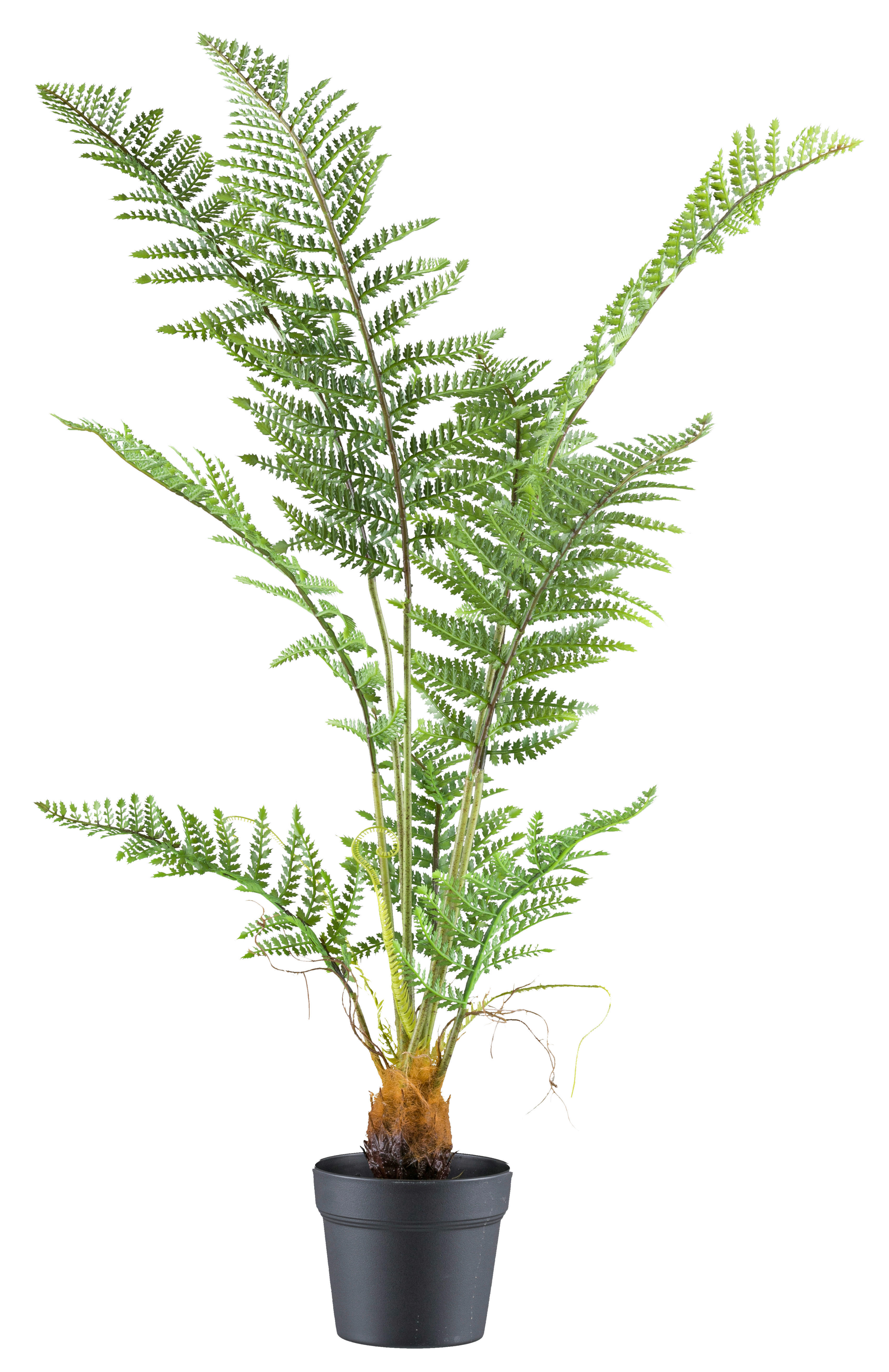 Kunstpflanze Pteris tremula Farn grün Kunststoff B/H/L: ca. 20x100x20 cm günstig online kaufen