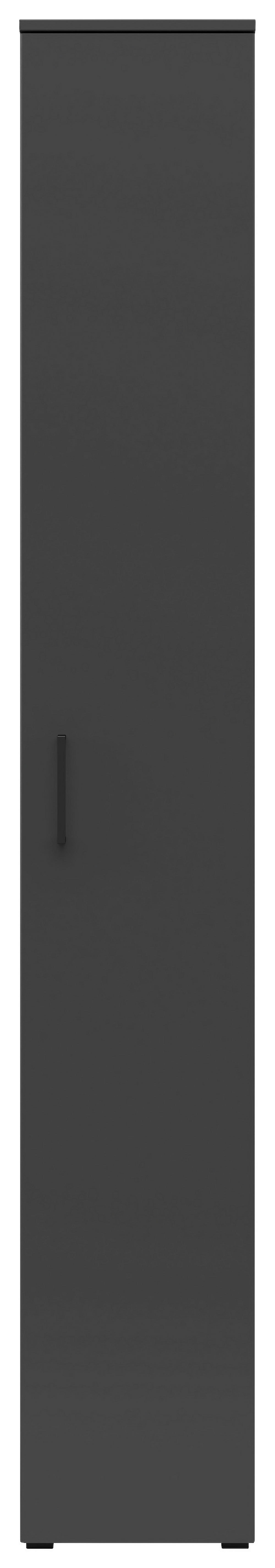 Schrank Multi-Stauraum Typ 8 anthrazit B/H/T: ca. 30x195x40 cm Multi-Stauraum Typ 8 - anthrazit (30,00/195,00/40,00cm)