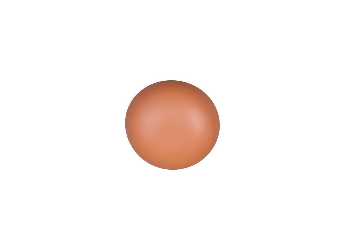 Reality LED Wandleuchte DAVEY apricot Metall 1 Brennstellen Davey - apricot - Reality