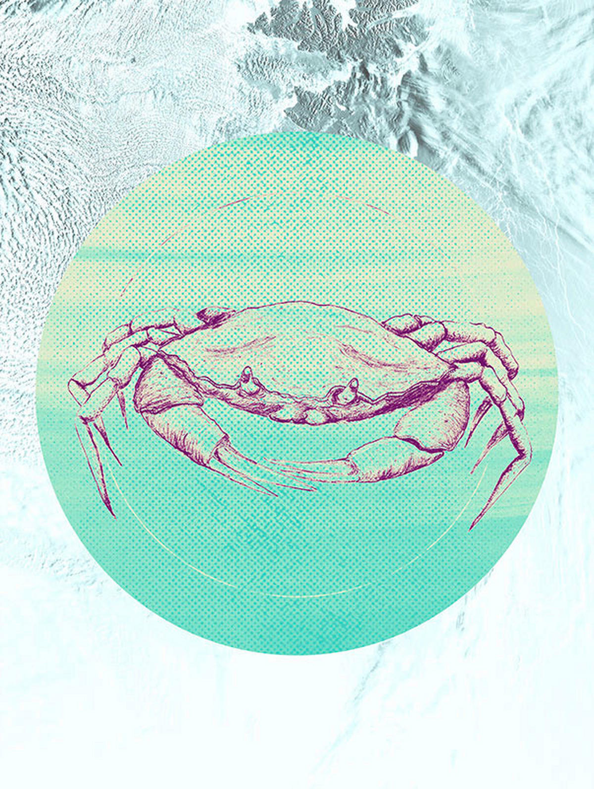 Komar Poster Crab Sea Tiere B/L: ca. 30x40 cm Crab Sea - (30,00/40,00cm) - Komar