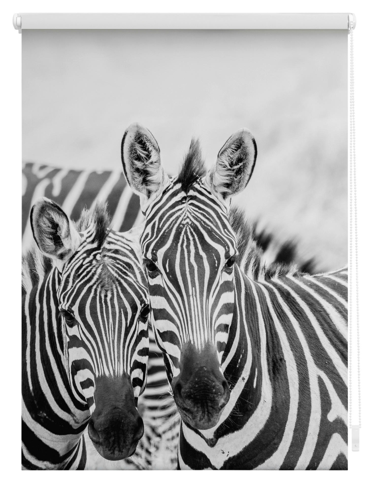 Thumbnail - LICHTBLICK Rollo Zebra schwarz B/L: ca. 80x150 cm
