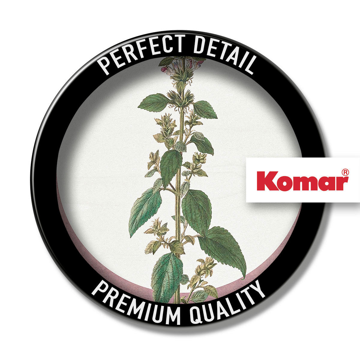 Komar Poster Menthe en Croissance Pflanzen B/L: ca. 30x40 cm Menthe en Croissance - (30,00/40,00cm) - Komar