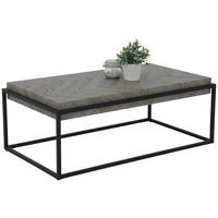 Couchtisch Carlos grau B/H/T: ca. 114x42x64 cm Carlos - grau (114,00/42,00/64,00cm) - Hela