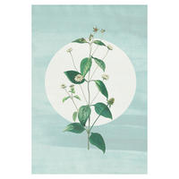 Komar Poster Faire Pousser des Fraises Blume B/L: ca. 50x70 cm Faire Pousser des Fraises - (50,00/70,00cm) - Komar