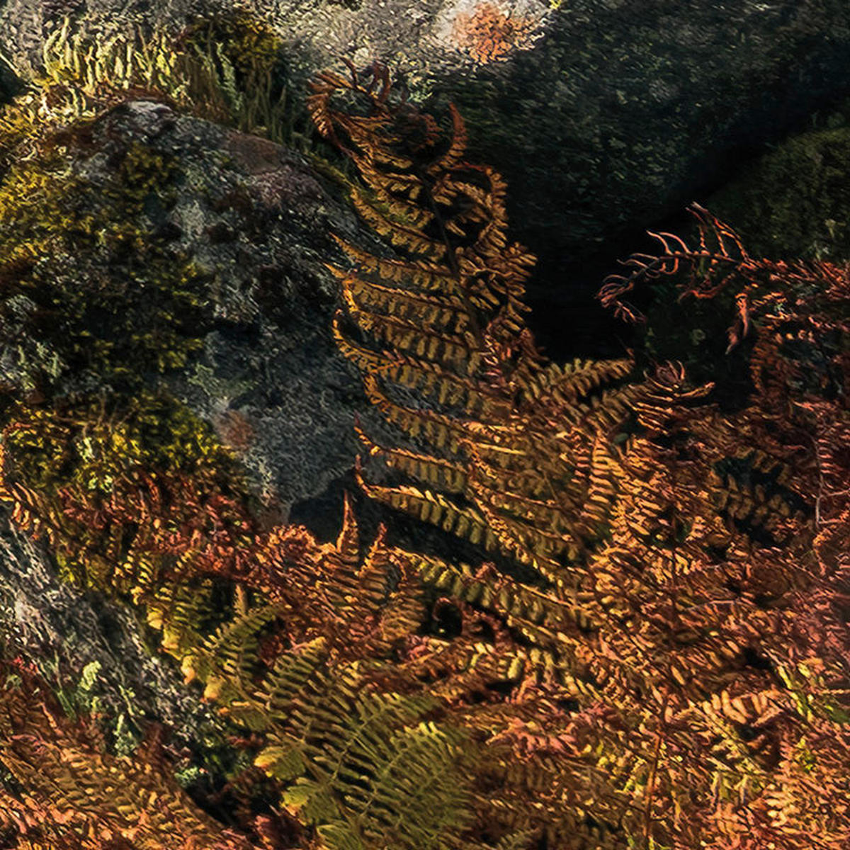 Komar Fototapete Pure Norway B/L: ca. 450x280 cm Pure Norway - (450,00/280,00cm) - Komar