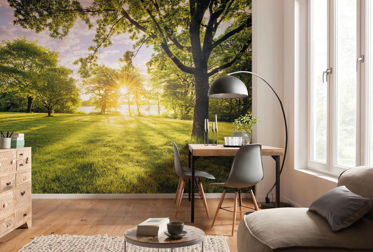 Komar Fototapete Golden Moment B/L: ca. 400x250 cm Golden Moment - (400,00/250,00cm) - Komar