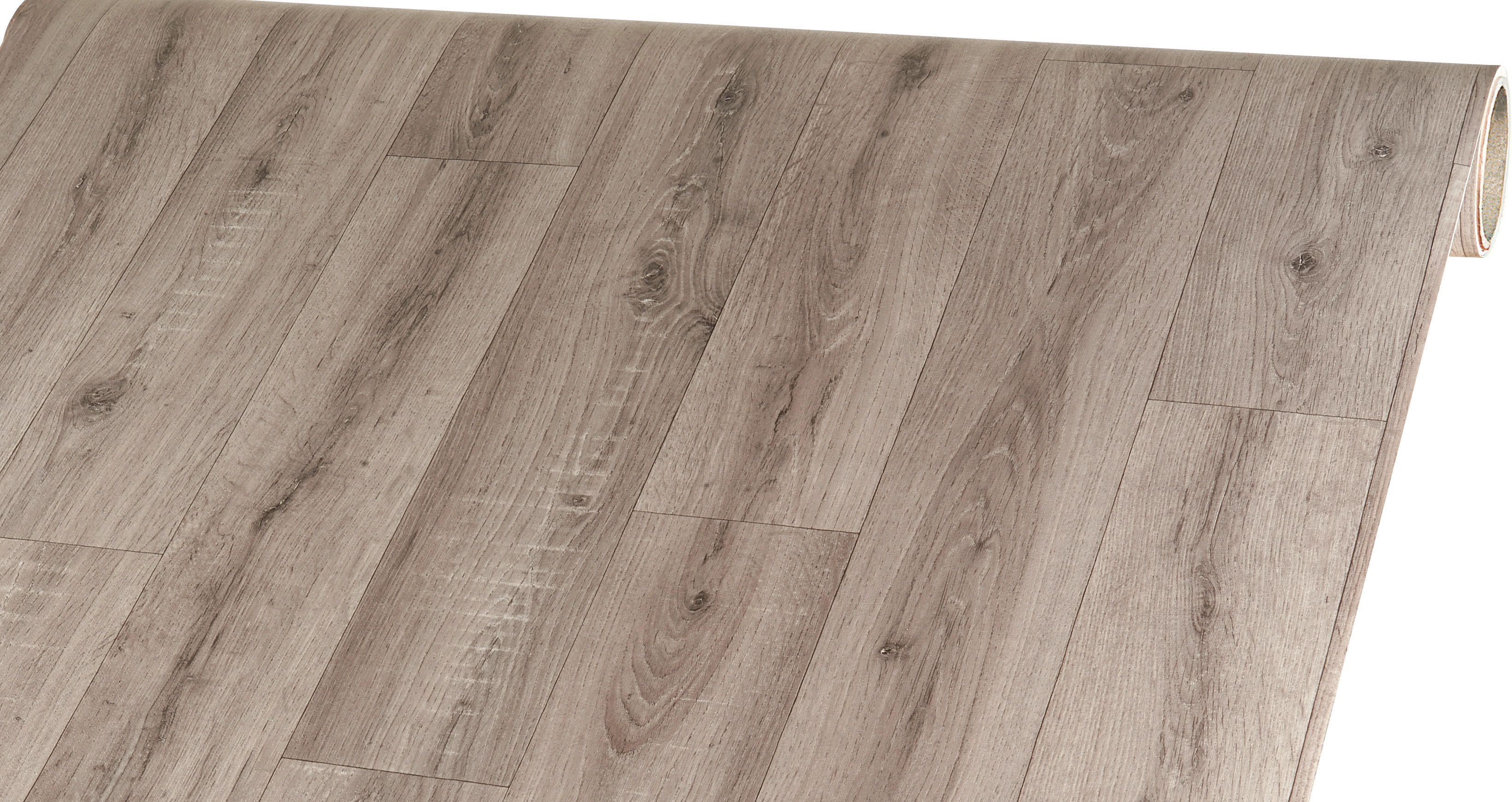Vinylboden Bingo grau Eiche B: ca. 400 cm pro m² Bingo - grau (400,00cm)