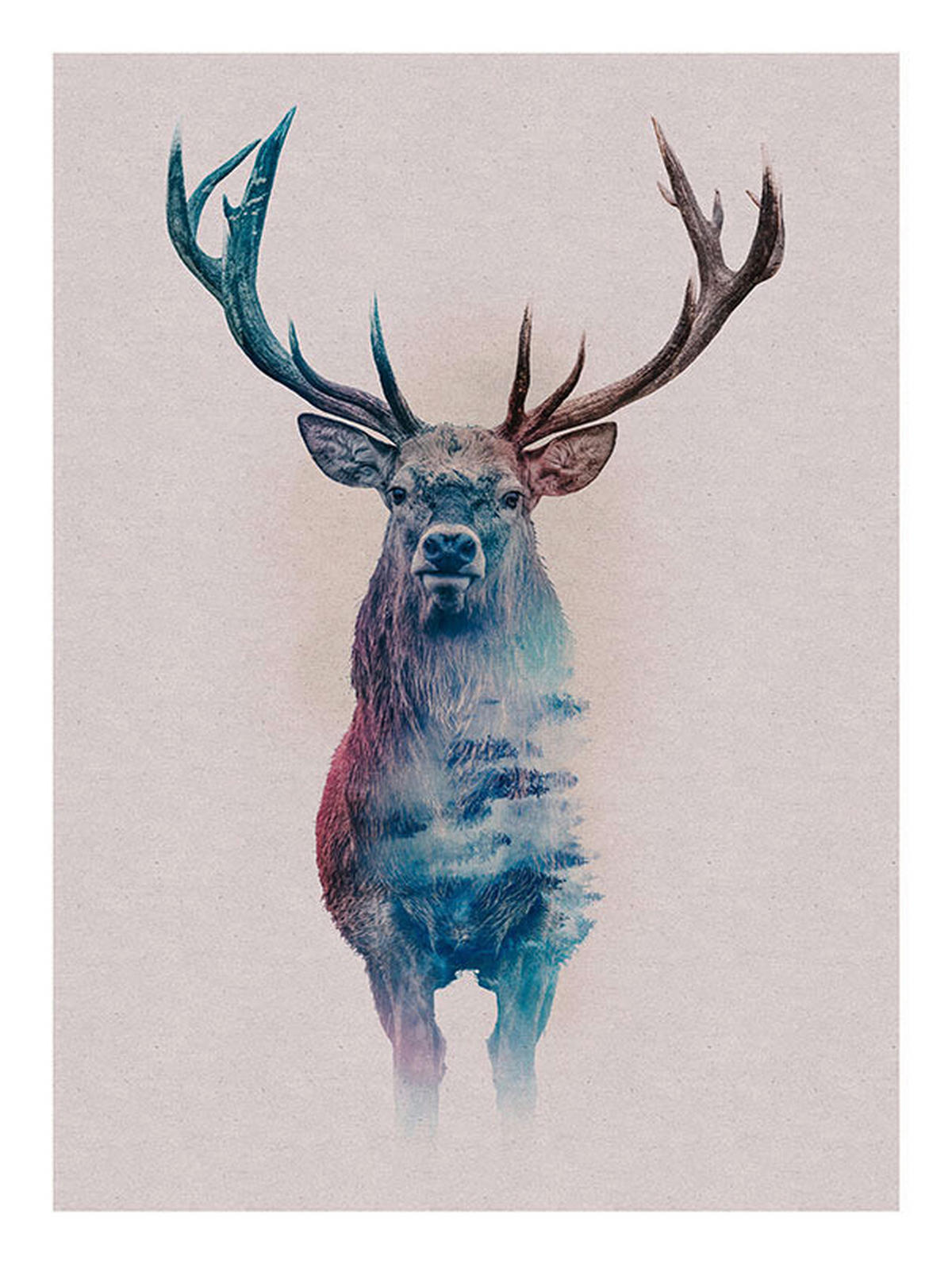 Komar Poster Animals Forest Deer Hirschkopf B/L: ca. 30x40 cm Animals Forest Deer - (30,00/40,00cm) - Komar