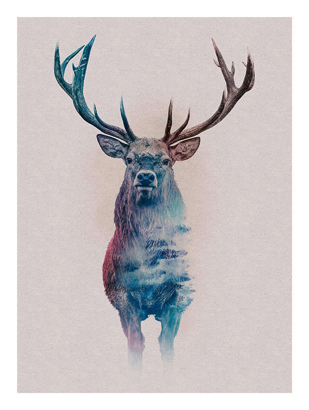 Komar Poster Animals Forest Deer Hirschkopf B/L: ca. 30x40 cm günstig online kaufen