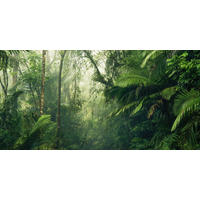 Komar Fototapete Tropenwelten B/L: ca. 500x250 cm Tropenwelten - (500,00/250,00cm) - Komar